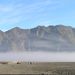 2005_indonesiatrip_163_2